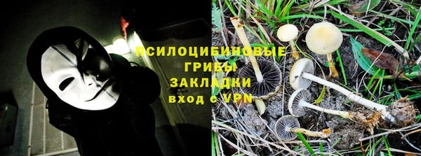 СК Магадан