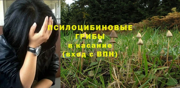 метадон Майский